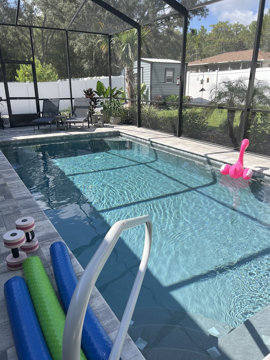 Aloha Custom Pool Builders & Service pool construction project
