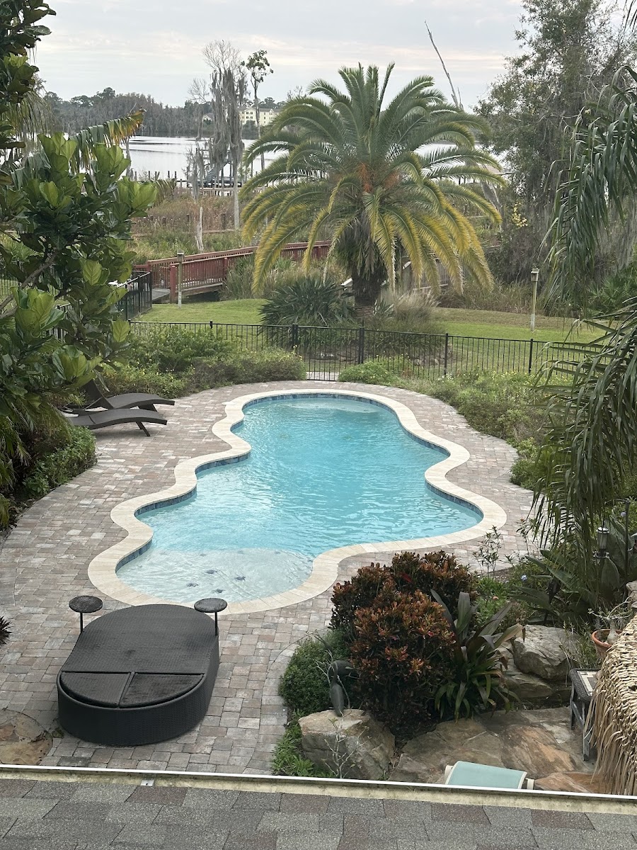 Dixie Pools And Spas, Inc custom inground pool build