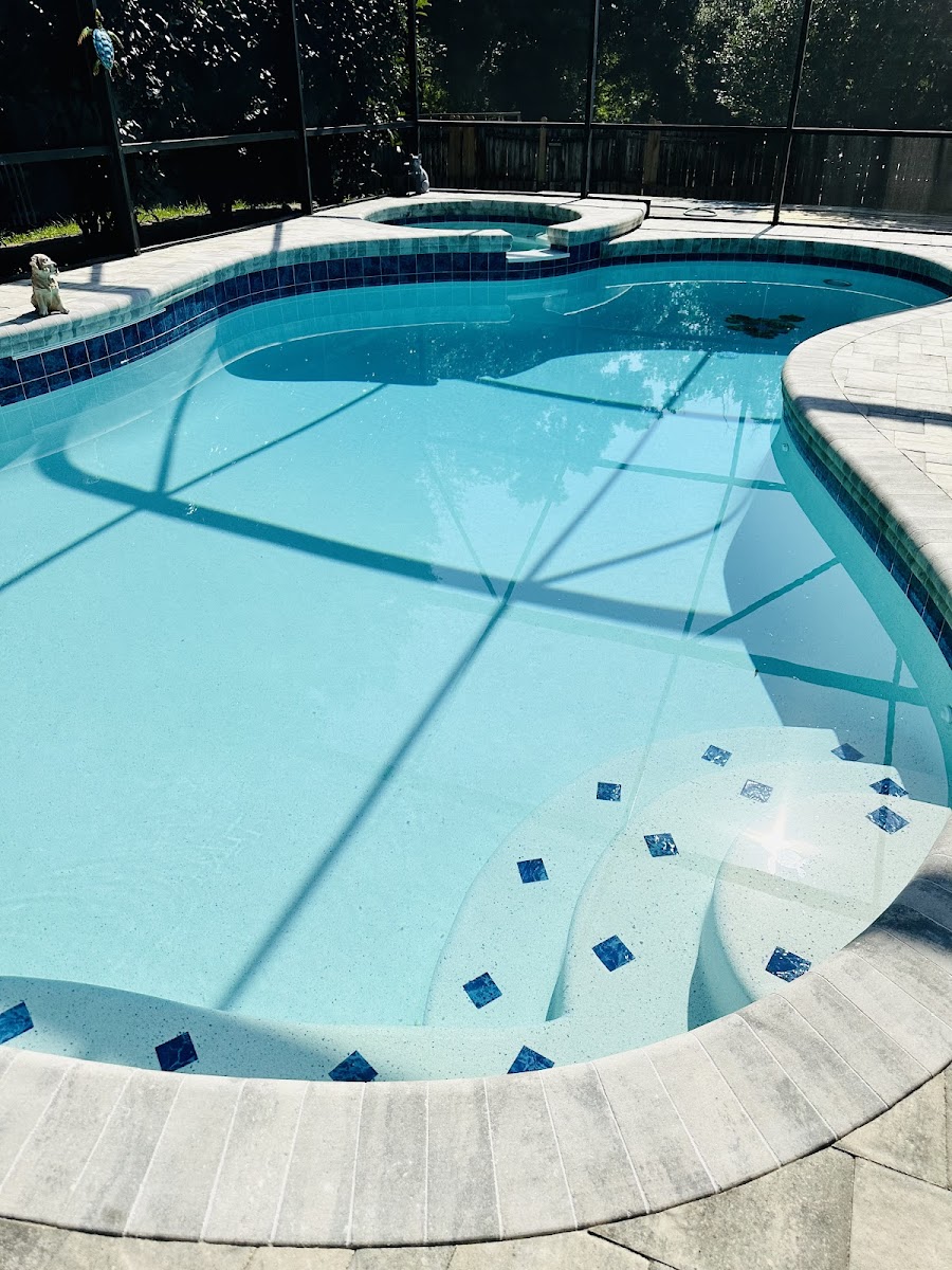 Southern Paradise Pools swimming pool installation